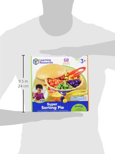 Learning Resources Super Sorting Pie Fine Motor Toy