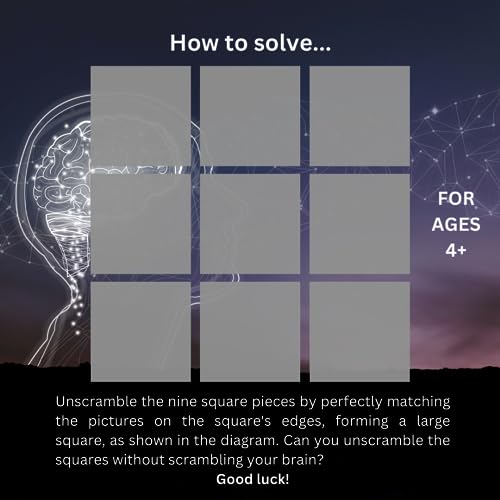 B. Dazzle Hot Air Balloons 9-Piece Brain Teaser Puzzle
