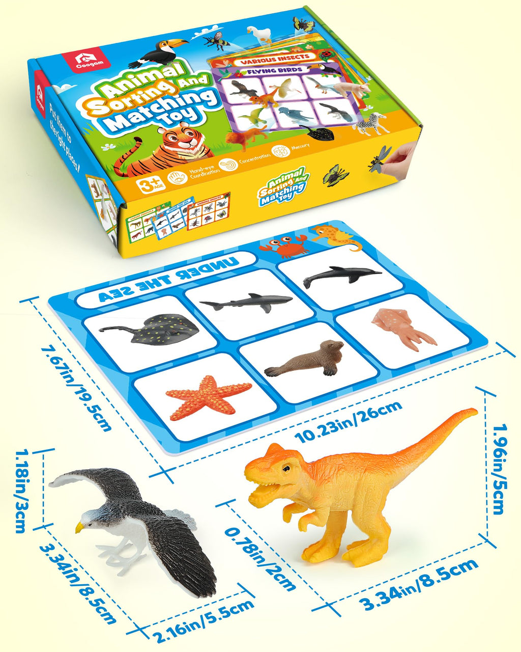 Coogam Montessori Sorting & Fine Motor Toy for Toddlers
