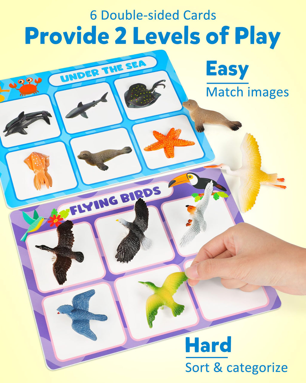 Coogam Montessori Sorting & Fine Motor Toy for Toddlers