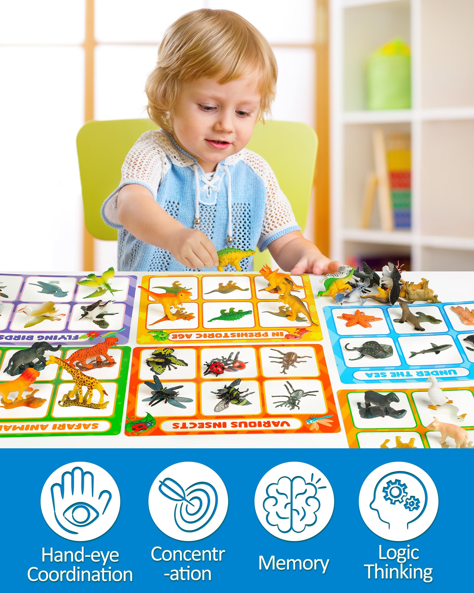Coogam Montessori Sorting & Fine Motor Toy for Toddlers